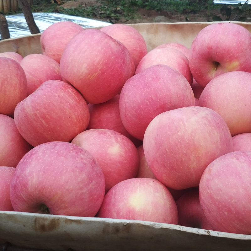好坏苹果怎么区分?关于买烟台红富士苹果水果的十大疑惑全解答